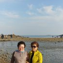 덕소초등학교 이미지