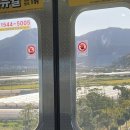 오렌즈동래점 | 부산 동래역 명륜동 이자카야 맥주 술집 &#34;그 숲 동래점&#34;