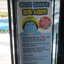 안심산길 | 여수 가볼만한곳 추천｜루지·롤글라이더·놀이공원까지 즐긴 여수 유월드 루지 테마파크 후기