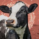 이루고에너지 주식회사 이미지