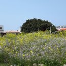 가파리 마을회관 이미지