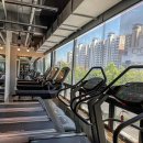 더블유짐 정자11호점 | 헬스장추천-수원장안구더블유짐정자11호점