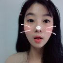 와니속눈썹 이미지