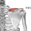 백세튼튼치유하우스