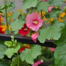 장기동행정복지센터 이미지