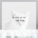 찐공간