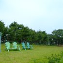 나문재관광농원 이미지