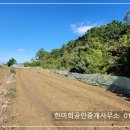 경남고성부동산 - 동해면 고운 햇살의 산자락 토지 전원주택지매매 705제곱미터 (213) 이미지