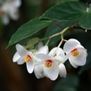 오늘은 음표 이미지