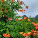 풍경소리2 이미지