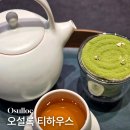 봄코스 | 오설록 티하우스 1979점 봄 시즌 티코스 후기