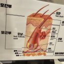 필샵