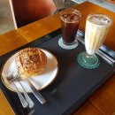 비비모스 이미지