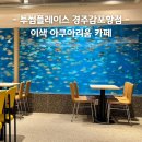 아쿠아맨수족관 | 경주 아이랑가볼만한 곳 데이트 추천 수족관 카페 오션뷰 투썸플레이스 경주감포항점