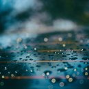 신의 젖줄 이미지