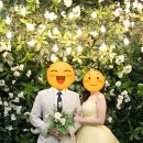 내돈내산 웨딩촬영 세미웨딩 [스텔라그라피] 후기