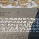 나무여행 이미지