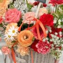 아뜰리에 몽 이미지