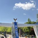 중앙경찰학교 | 충주 중앙경찰학교 신임경찰 319기 졸업식 후기