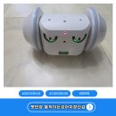 강아지로봇 고양이장난감 간식주는 강아지장난감 사용 후기