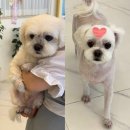 미니멍 살롱 네이버블로그