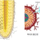 대신종축 네이버블로그