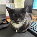 홈마트 송림점 이미지