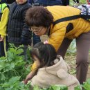 푸른농장2 이미지