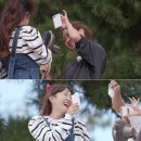 무해 이미지