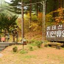 태기산장모텔 이미지
