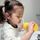 라엘어린이집 | [제품제공] 더트웰브 아기 칫솔 추천｜유아 칫솔로 시작하는 양치 습관 (토들러 칫솔 후기)