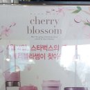 체리블라썸2