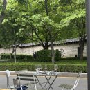 서순라길맛집 야장 노상 핫한 IDA 이다 내돈내산 후기
