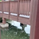 해피아트 이미지