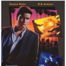 죽음도 갈라놓지 못한 사랑 이미지