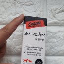 참글 | [고양이 구내염약 참글루칸!] 길고양이를 위한 작은 관심