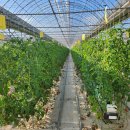 가중농장 이미지