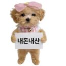 머드비치호텔 이미지