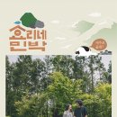 윤식당민박 이미지