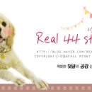 정스헤어(Jeong's Hair)