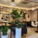 청춘다실 이미지