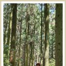 (유)제주플레이 이미지