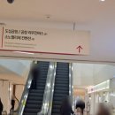 소노펠리체 컨벤션 웨딩홀 다이아몬드홀 2026 성수기 비수기 견적공유