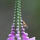 저녁 동안피부관리 이미지