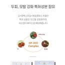 주식회사 티엔비코리아 | 뷰티캣 듀얼아이래쉬 속눈썹영양제추천