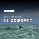 까사보니따 | 길리섬, 길리트라왕안 북쪽 터틀포인트, 까사보니따 카페 스노클링 장비 무료 대여, 거북이 만난 후기
