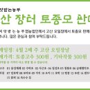 법인씨앗