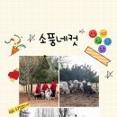 즐거운 애견 이미지