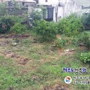 송악관광로 이미지