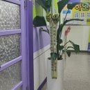 대신영어교습소